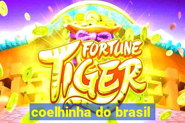 coelhinha do brasil